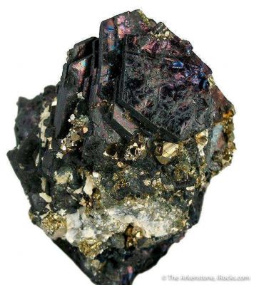Covellite and Pyrite