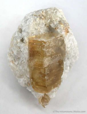 Gem Mica Var. Phlogopite in Marble