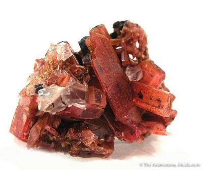 Rhodonite With Calcite