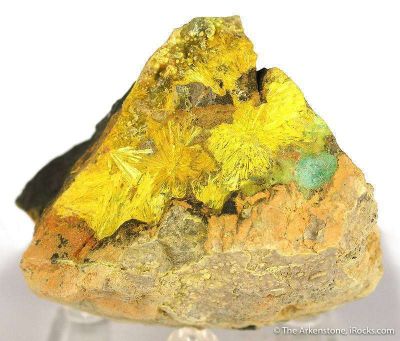 Kamotoite and Astrocyanite With Uranophane on Uraninite