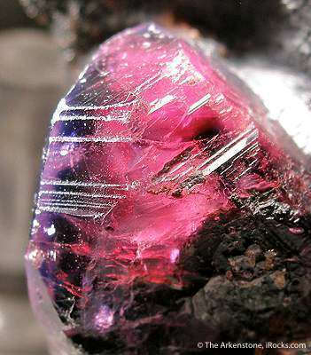 Rose Red Colored Ruby Crystal | iRocks Fine Minerals