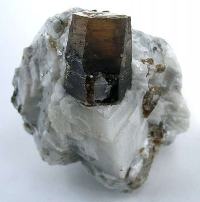 Phlogopite in Calcite