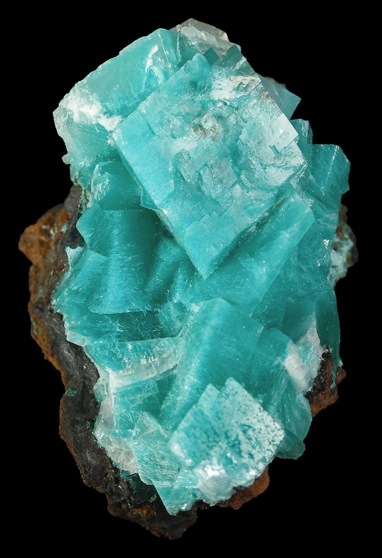 Aurichalcite in Calcite - AURC-35 - Ojuela Mine - Mexico ...