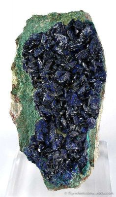 Azurite on Chrysocolla-Coated Malachite