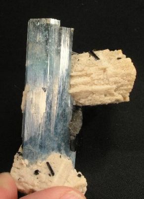 Beryl (Var: Aquamarine), Microcline, Schorl