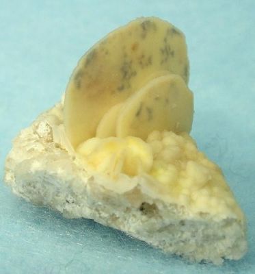 Quartz (Var: Chalcedony), Calcite