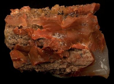 Groutite, Chalcedony (Var: Petrified Wood)