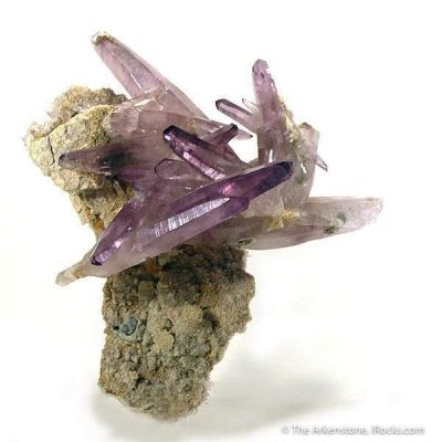 Amethyst With Huge Crystals For Locality!