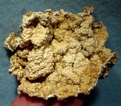 Picropharmacolite