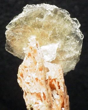 Polylithionite, Serandite