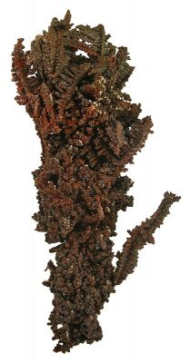 Copper (Spinel-Twinned)