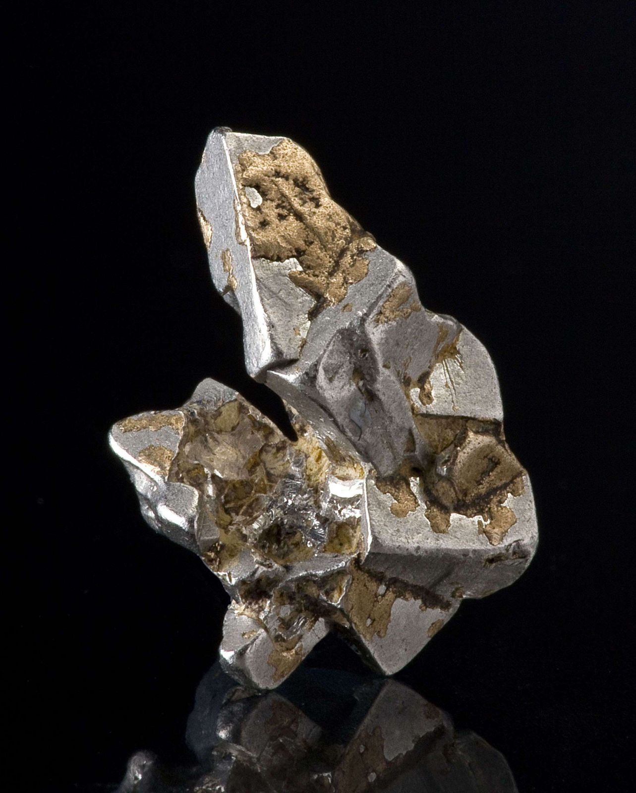 Platinum With Gold - TUC114-106 - Konder - Russia Mineral Specimen