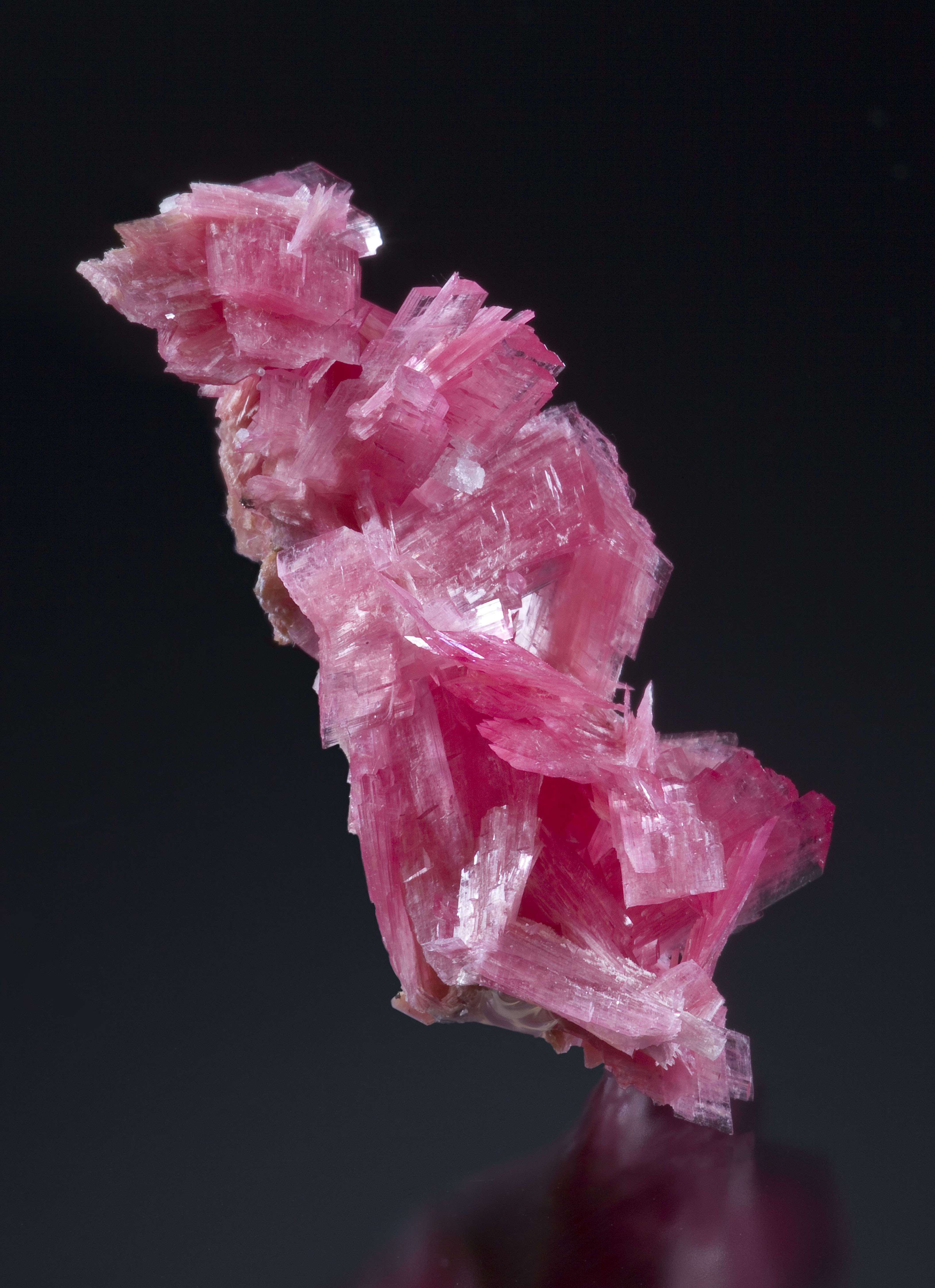 Rhodonite - TUC115-243 - San Martin Mine - Peru Mineral Specimen