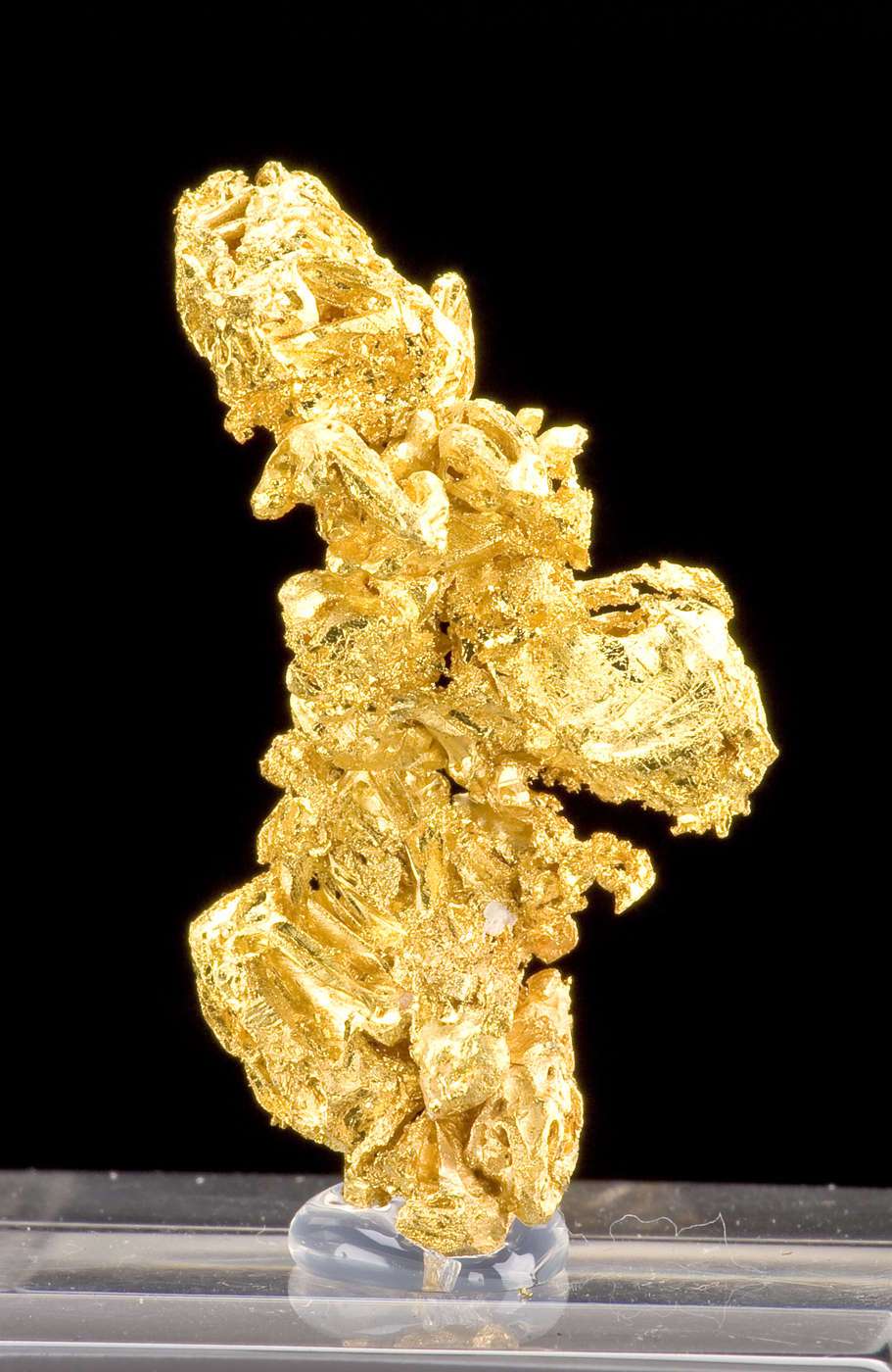 Gold - BSGOLD-01 | iRocks Fine Minerals