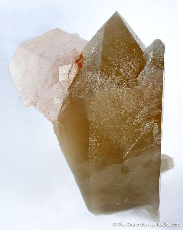 Morganite on Quartz - ch01 - Elizabeth R Mine - USA Mineral Specimen
