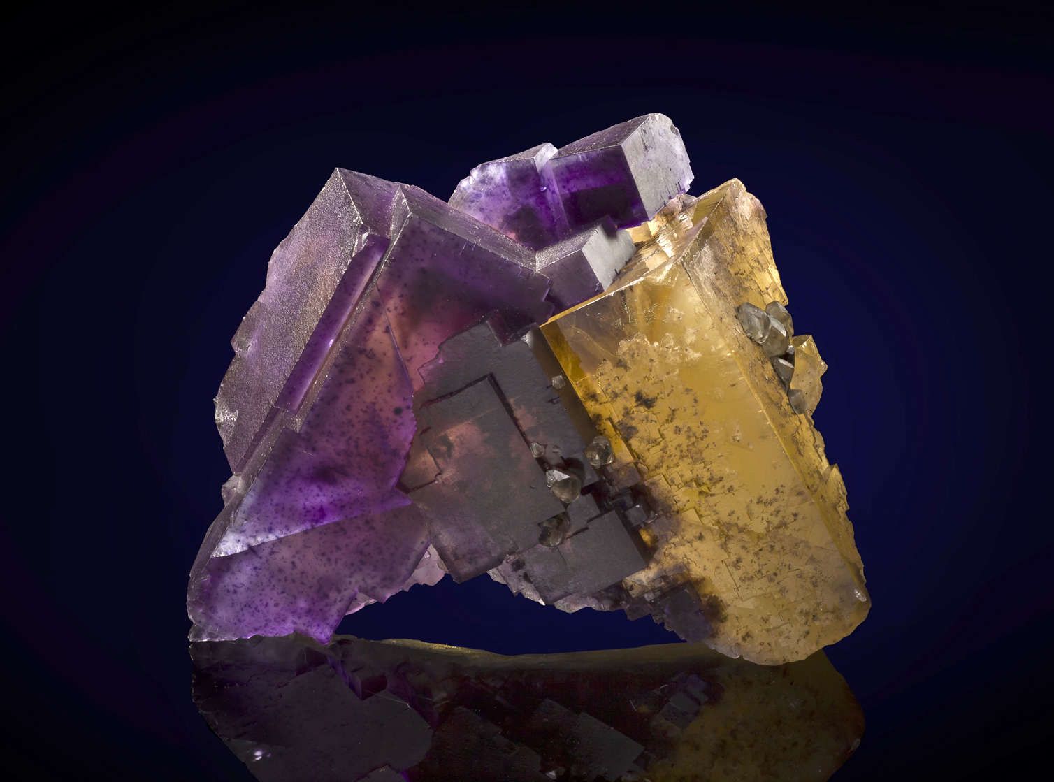 Fluorite (Yellow and Purple Duo) - DEN13-1014 - Minerva #1 Mine - USA ...
