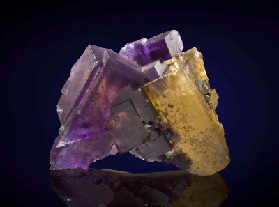 Fluorite (Yellow and Purple Duo)