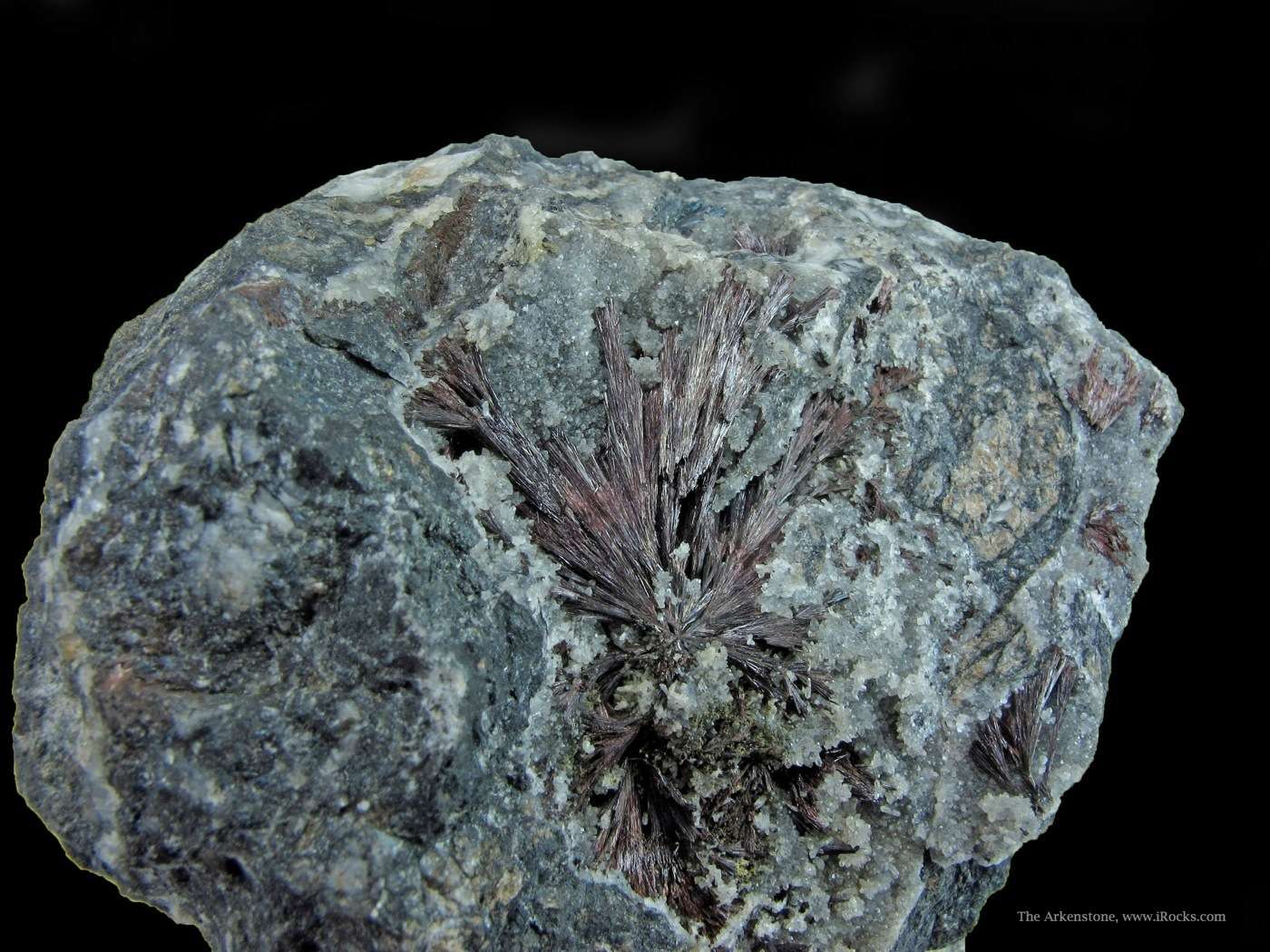 Lustrous Acicular Kermesite Germany iRocks Fine Minerals