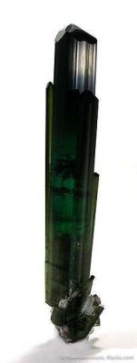 Tourmaline (With Core Altering To Lepidolite)