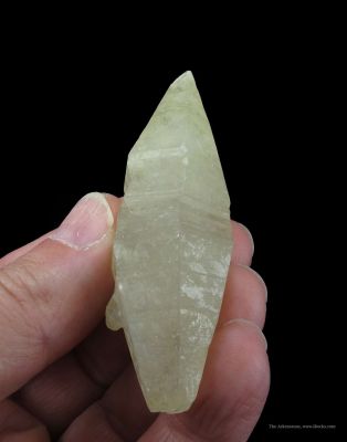 Corundum Var. Sapphire (350 Carat Crystal)