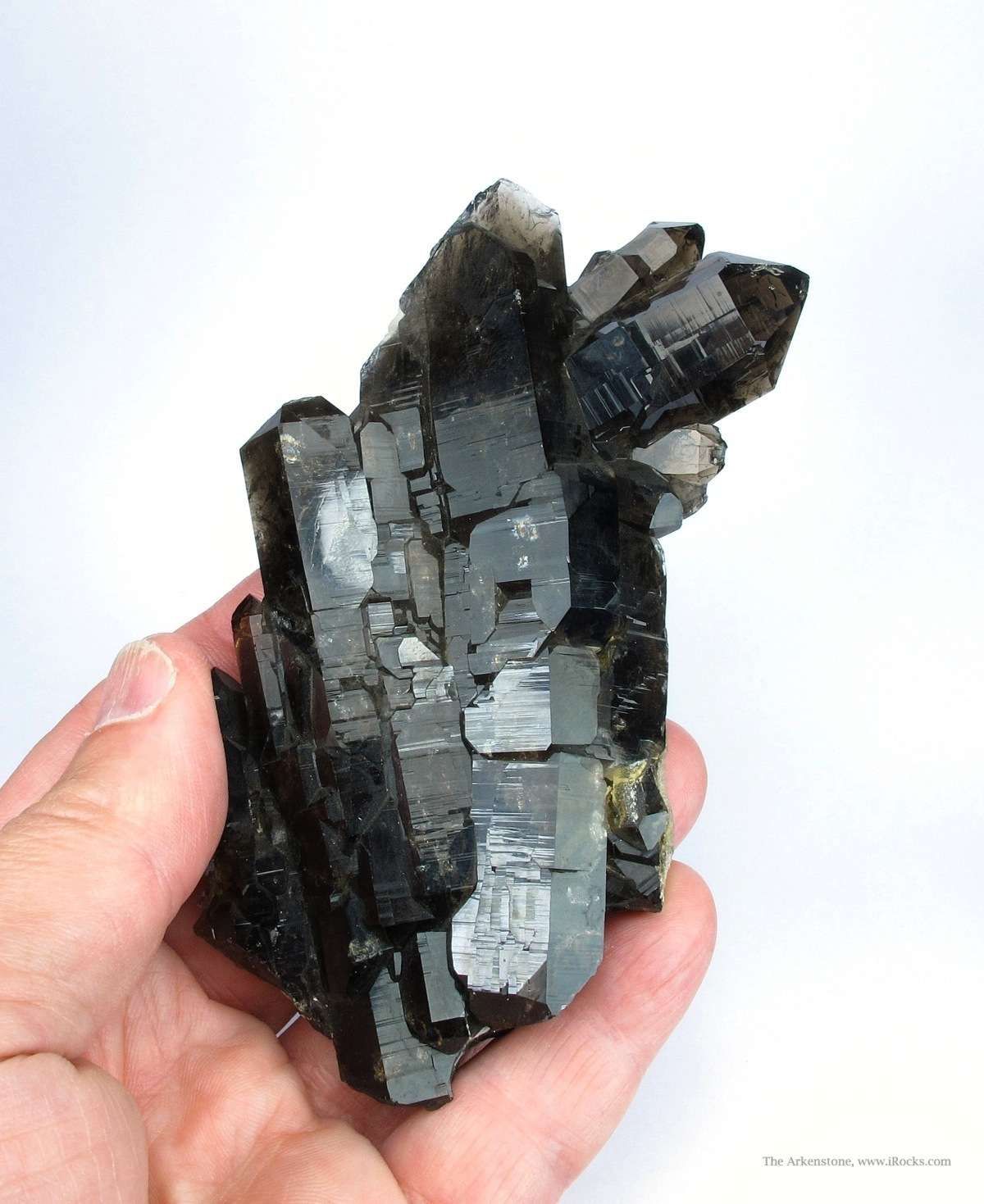 Lustrous Side-by-Side Smoky Quartz Cluster | iRocks Fine Minerals