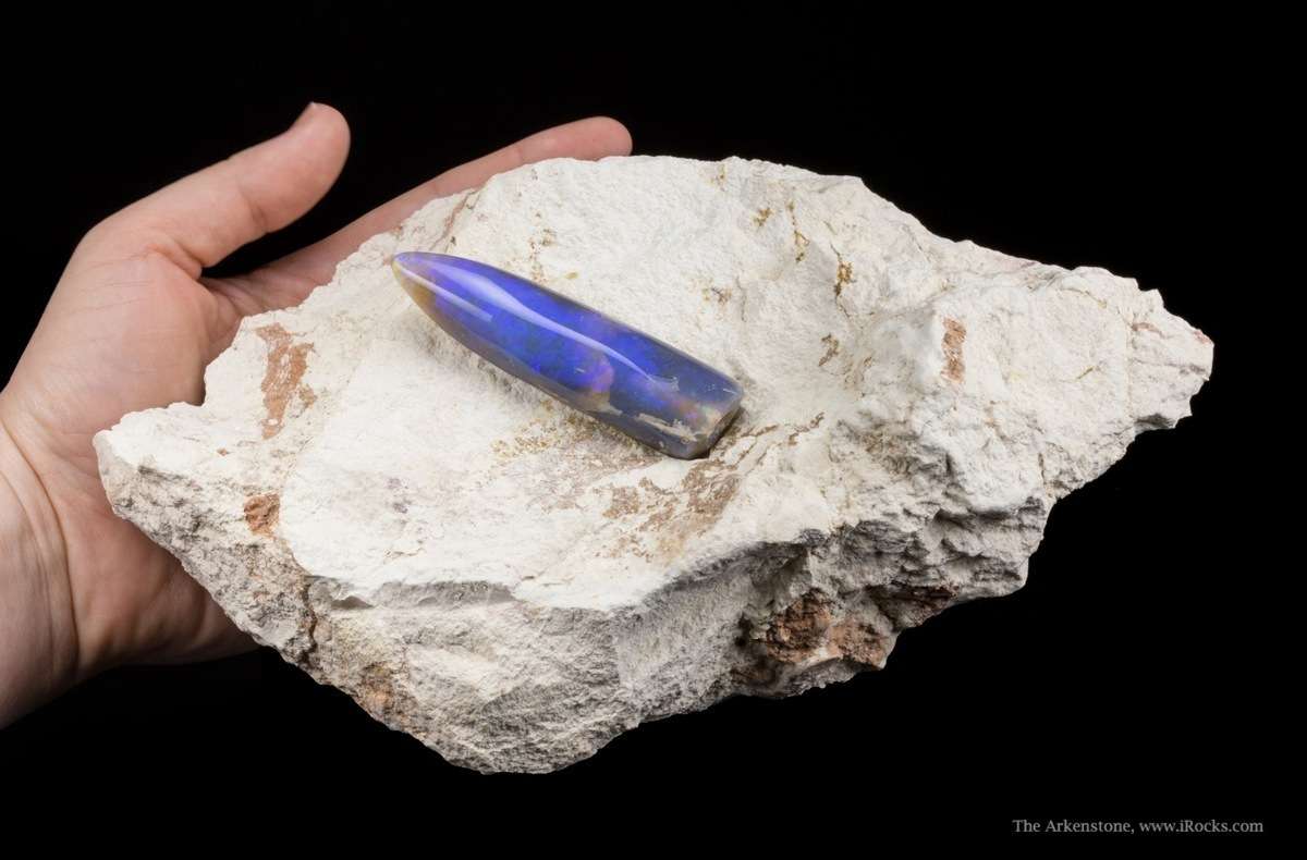Opal Replacement Of Belemnite Fossil - OPALF1401 - Bulldog Shale -  Australia Mineral Specimen