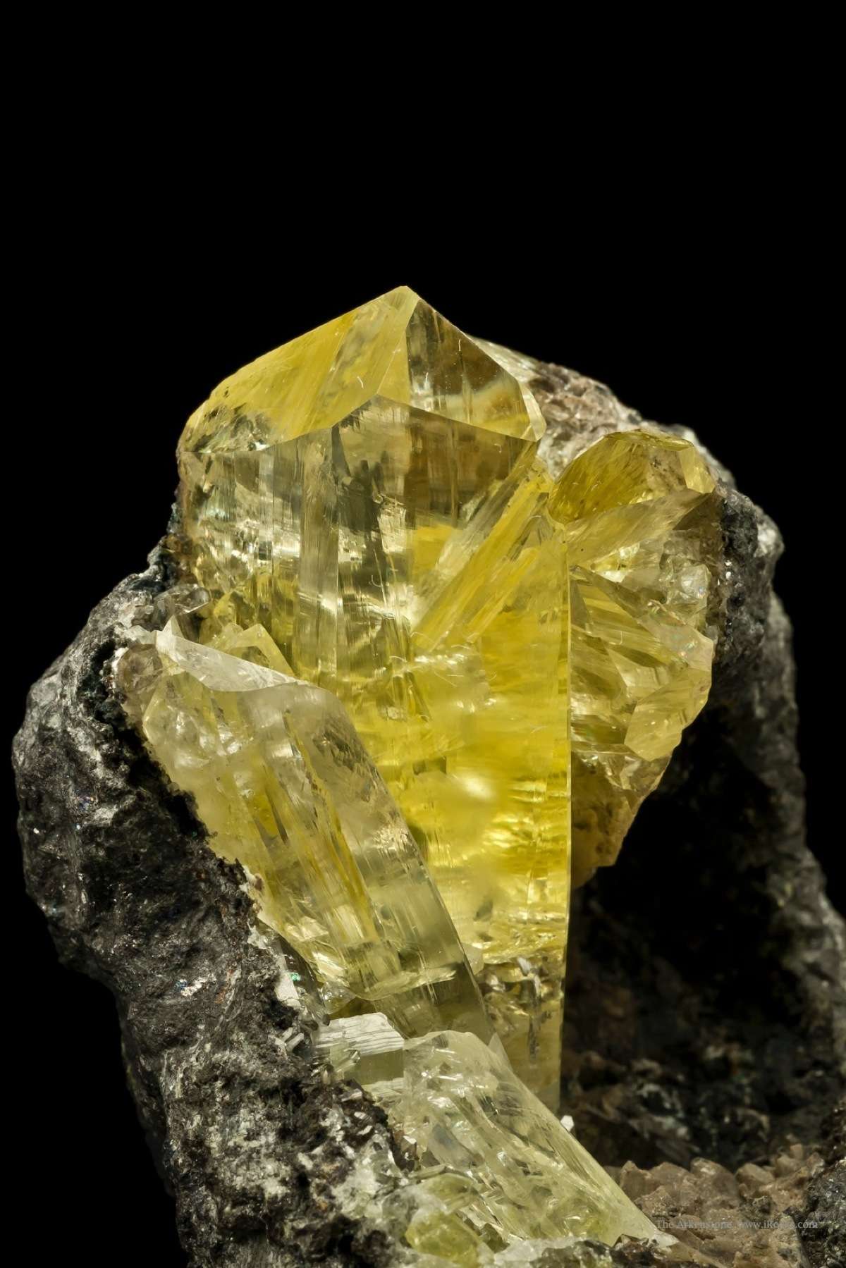 Anglesite DEN14 1420 Touissit Mine Morocco Mineral  