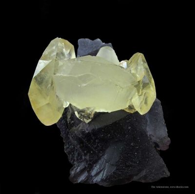 Calcite (Twinned) on Fluorite (Illustrated)