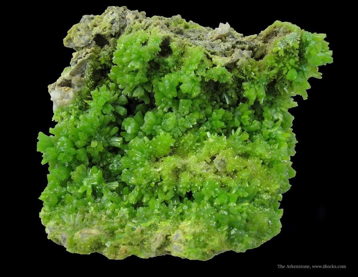 Pyromorphite - FIOR14B-24 - Crabulazzu Mine - Italy Mineral Specimen