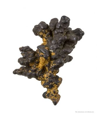 Manganese Biominerals (Todorokite, Romanechite, Birnessite)