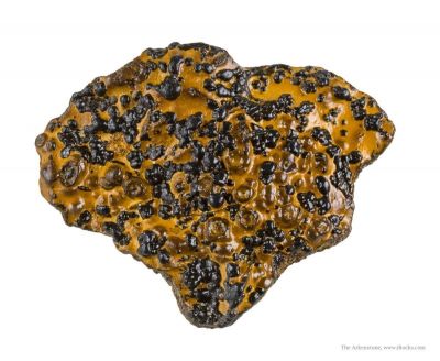 Manganese Biominerals (Todorokite, Romanechite, Birnessite)