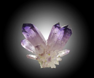 Amethyst with Epidote