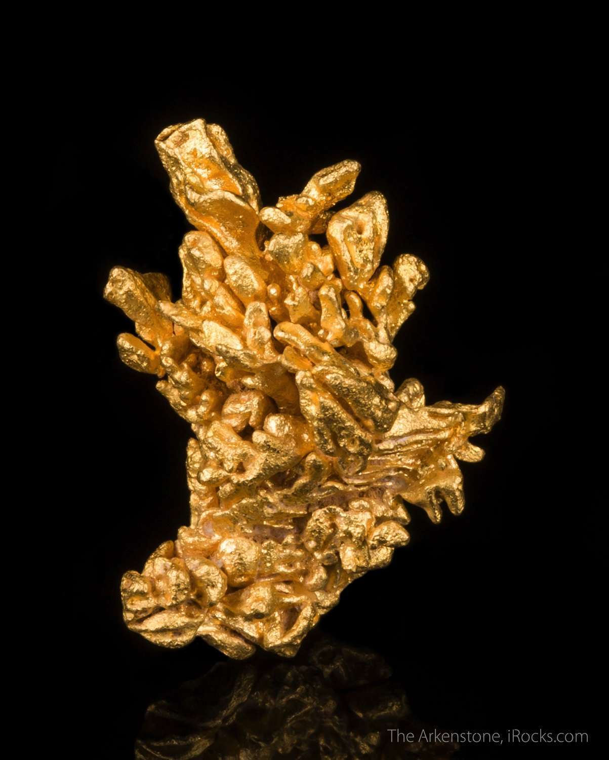 Gold - GOLD16-03 - Serra de Caldeirao - Brazil Mineral Specimen