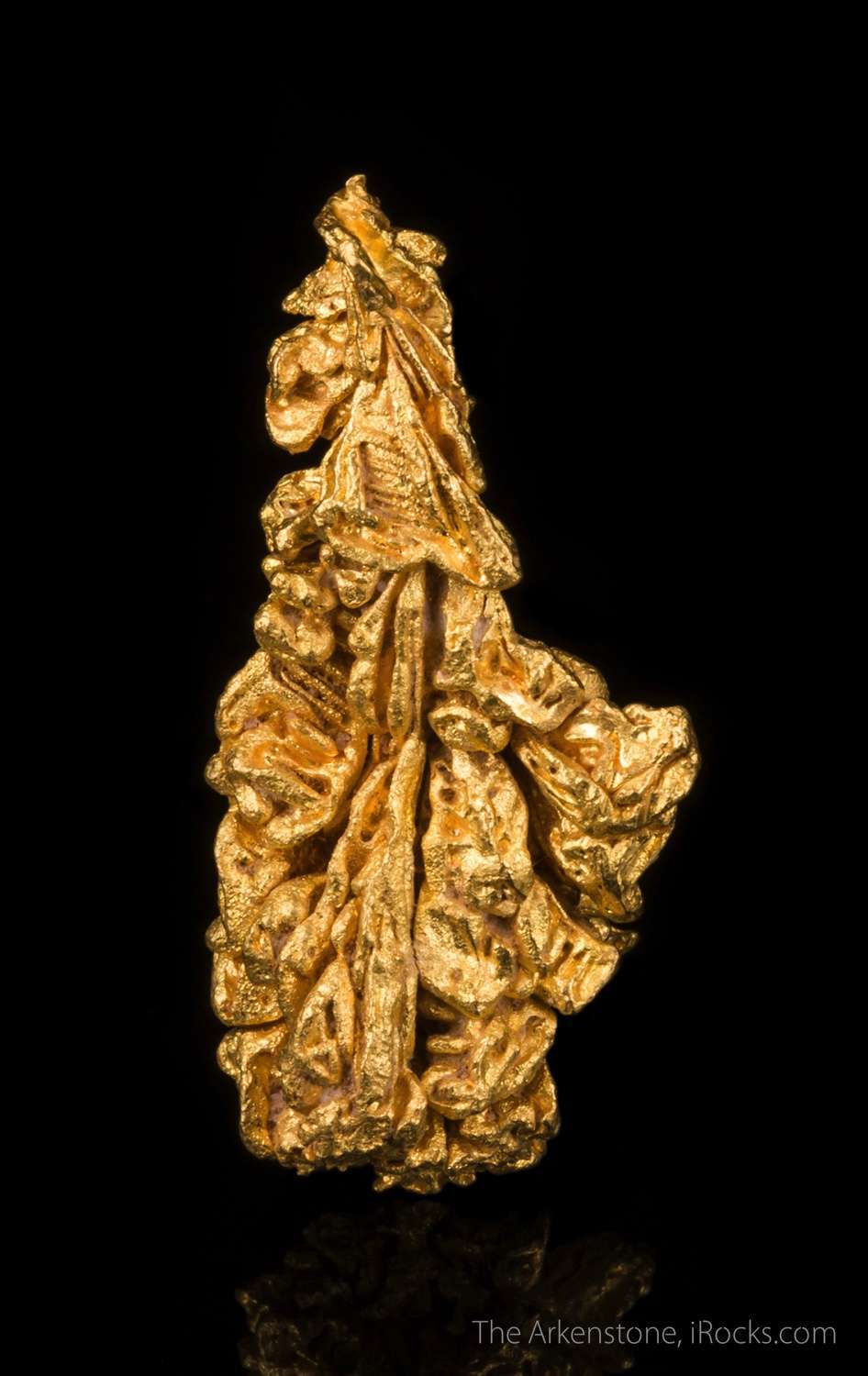 Gold - GOLD16-04 - Serra de Caldeirao - Brazil Mineral Specimen