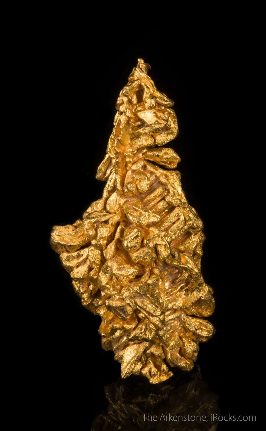 Gold - GOLD16-04 - Serra de Caldeirao - Brazil Mineral Specimen