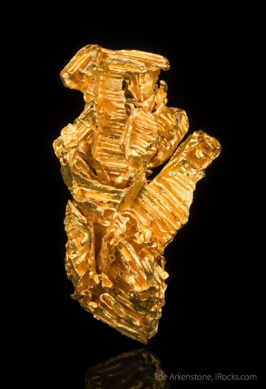Gold - GOLD16-05 - Serra de Caldeirao - Brazil Mineral Specimen