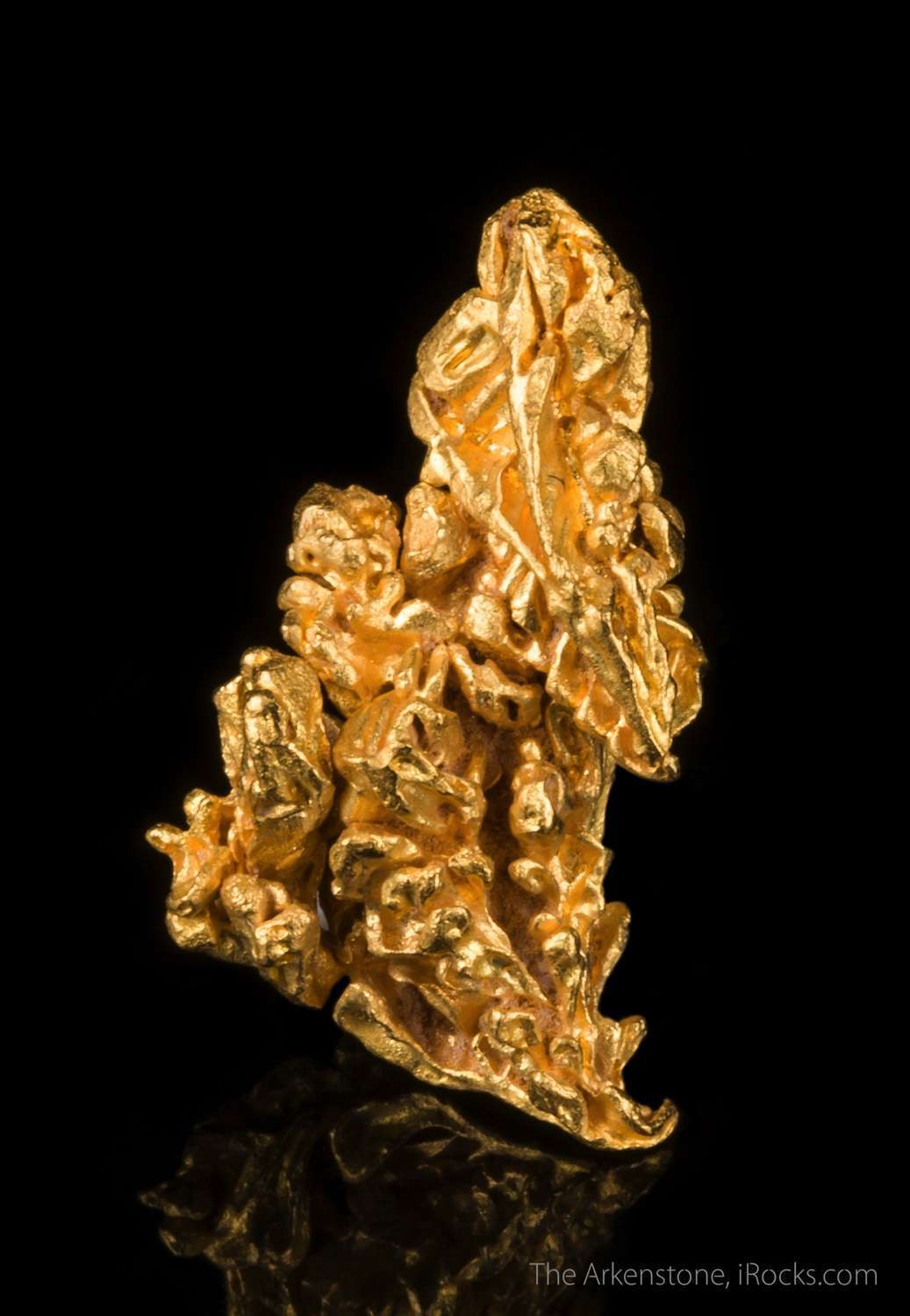 Gold - GOLD16-13 - Serra de Caldeirao - Brazil Mineral Specimen