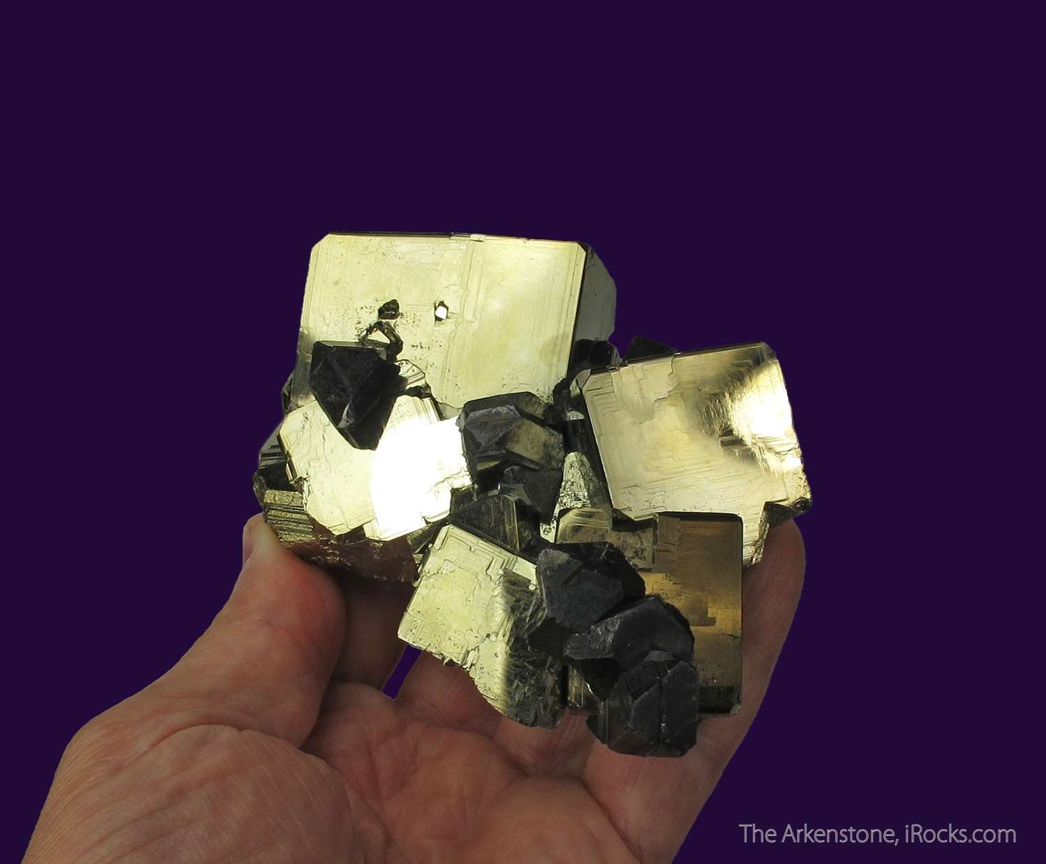 Awesome Galena and Pyrite Crystals Huanzala Mine Peru COA 4531