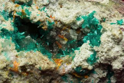 Macquartite (type locality) with Dioptase, and Wulfenite