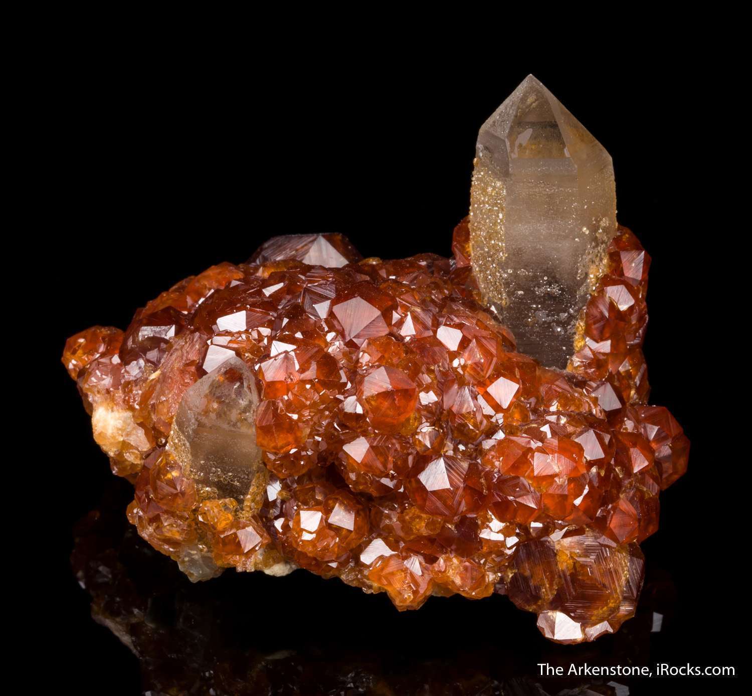 Spessartine Garnet on Quartz - D16C-51 - Tongbei - China Mineral 