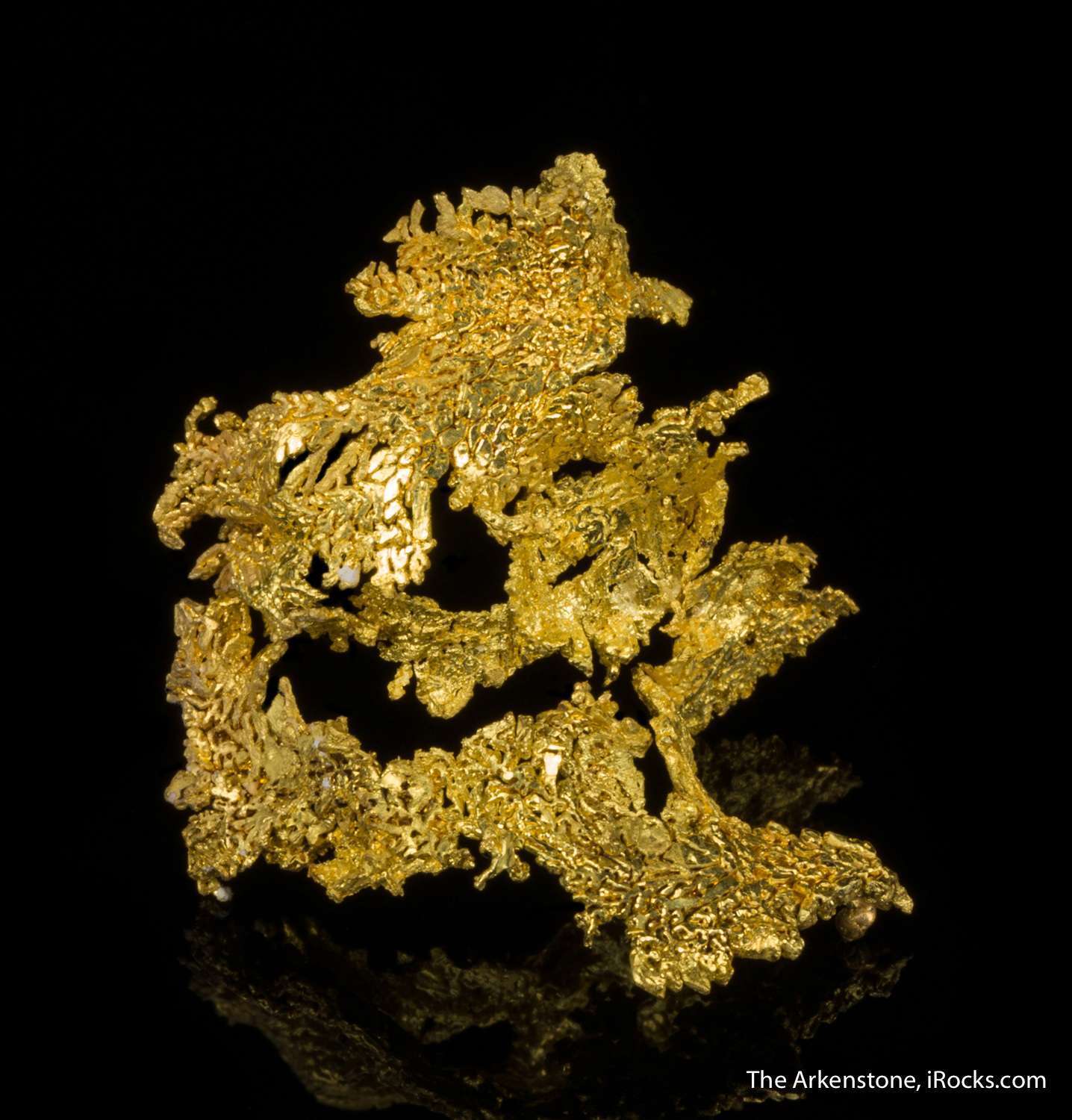 Gold - MAU-10 - Eagles Nest Mine - USA Mineral Specimen