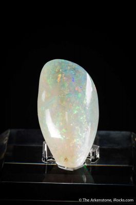 Opal replacement after fossil Mussel