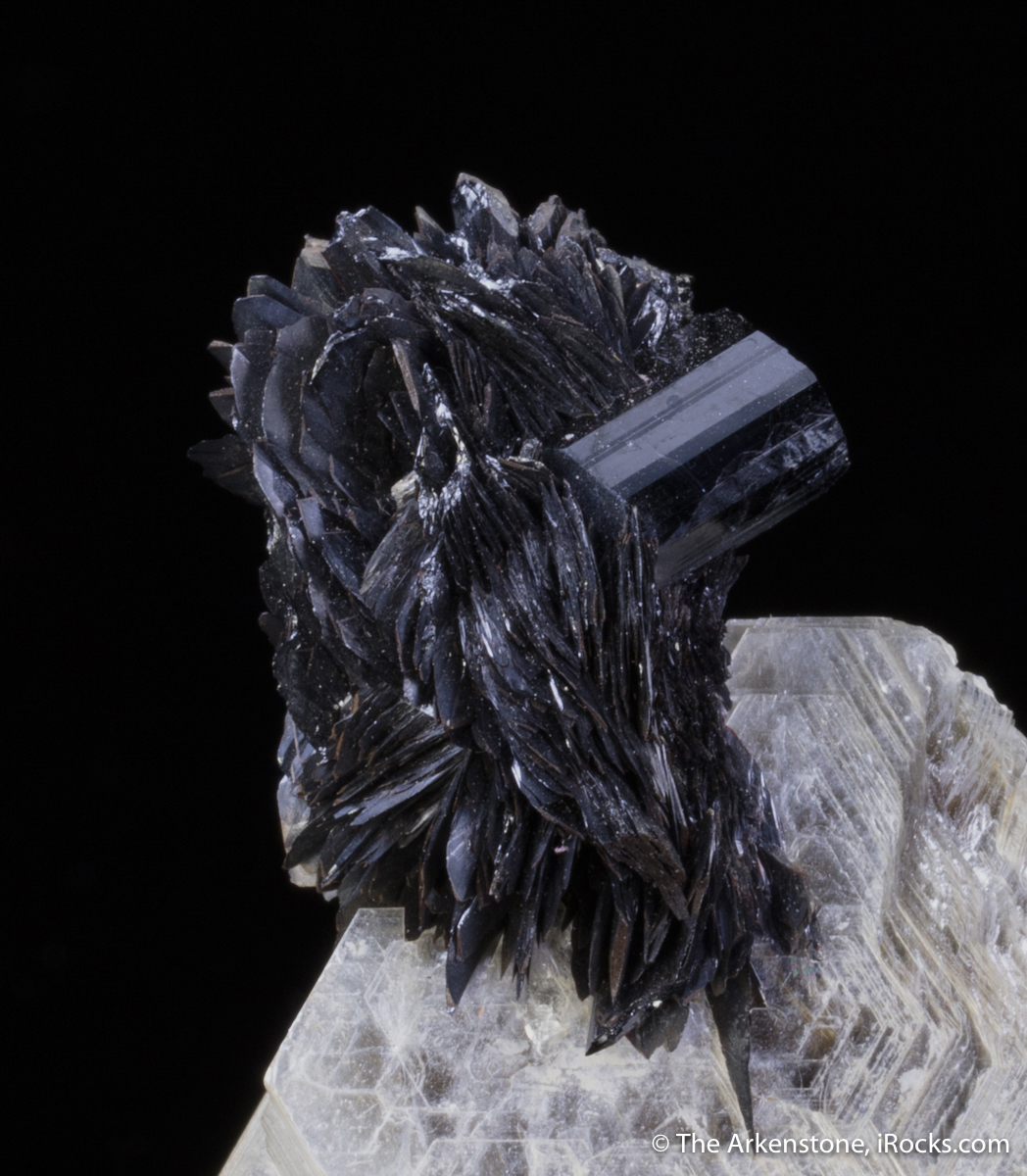 Tantalite on Muscovite with Schorl