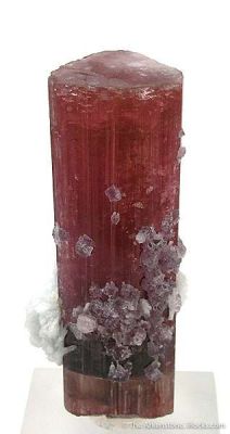 Tourmaline With Lepidolite And Albite (Floater)