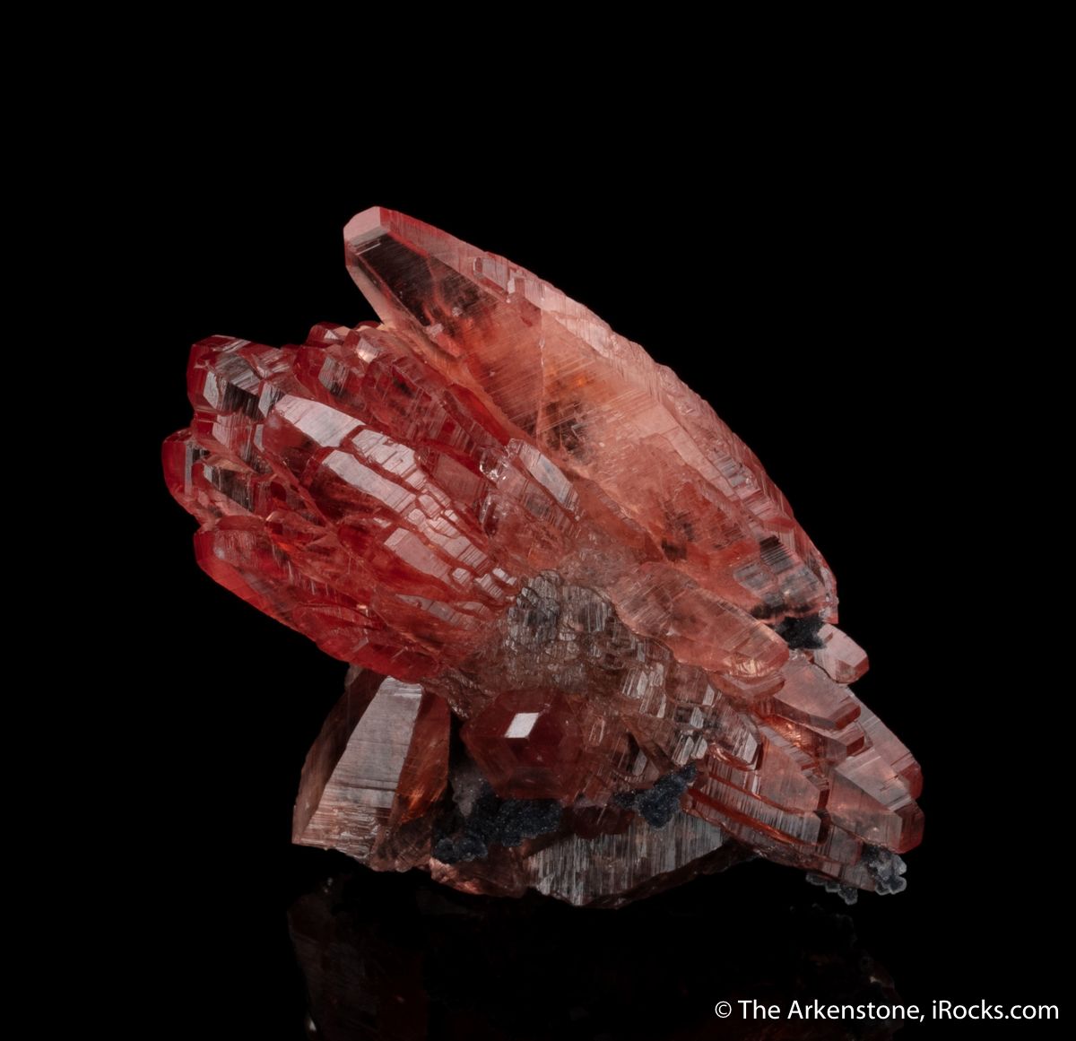 Rhodochrosite - SM19-63 - N'Chwaning Mine - South Africa Mineral