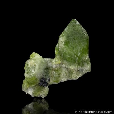 Forsterite var. Peridot with Magnetite