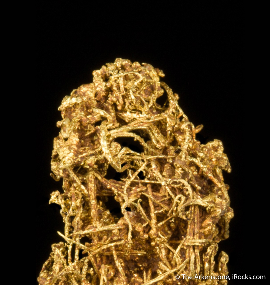 Gold (wire crystalline) - JEN20-28 - Yuba Mine Greaterville - USA