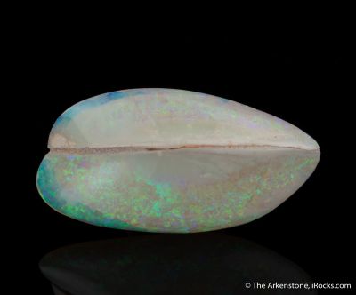Opal replacing Bivalve