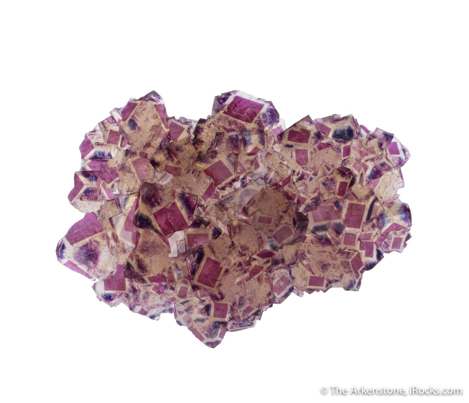 Fluorite - PPP20-07 - Polish Prodigy Pocket - Namibia Mineral Specimen