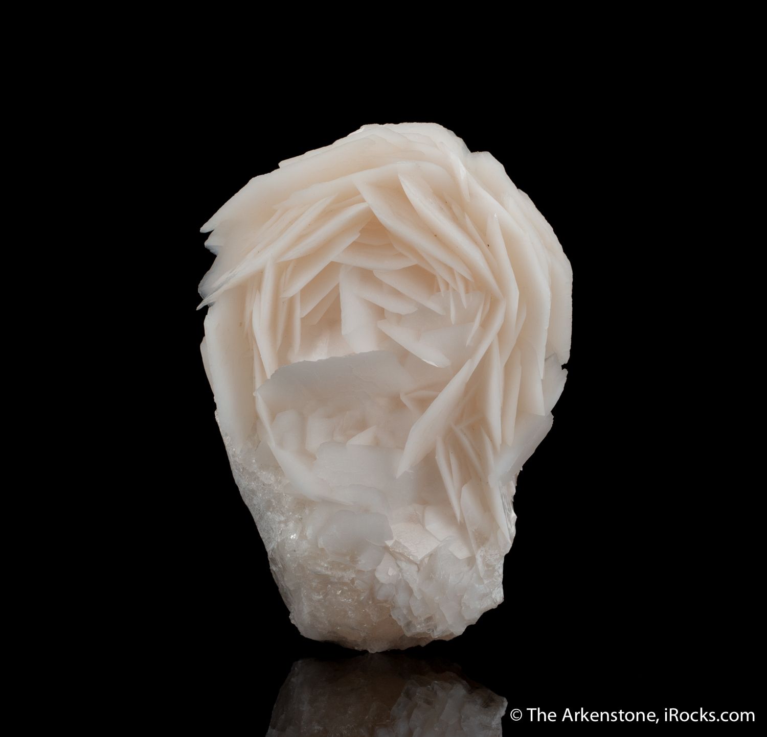 White Rose Calcite